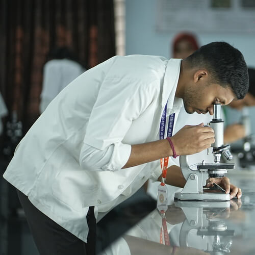 BCA Department